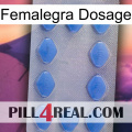 Femalegra Dosage 21